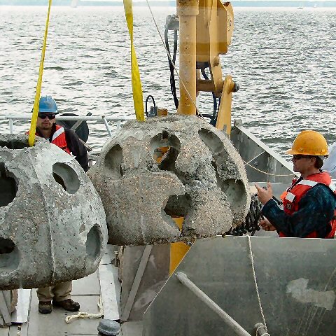 hollicutts_noose_reef_ball_deployment_with_cbf hollicutts_noose_reef_ball_deployment_with_cbf