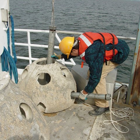 DSC00004 DSC00004
