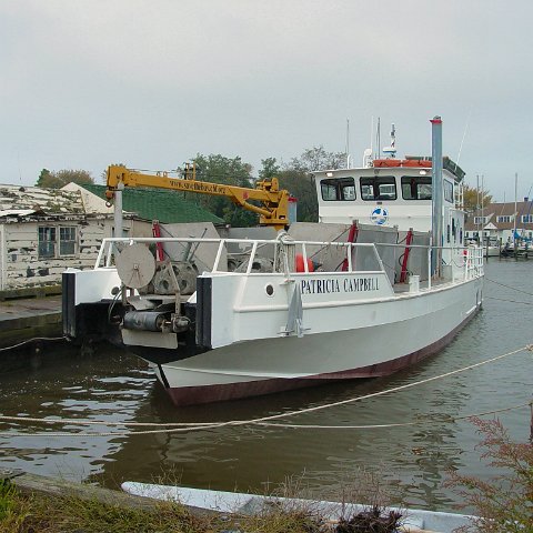 DSC00025 DSC00025