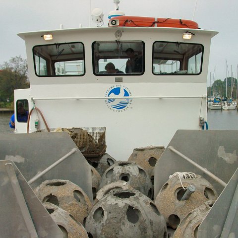 DSC00037 DSC00037