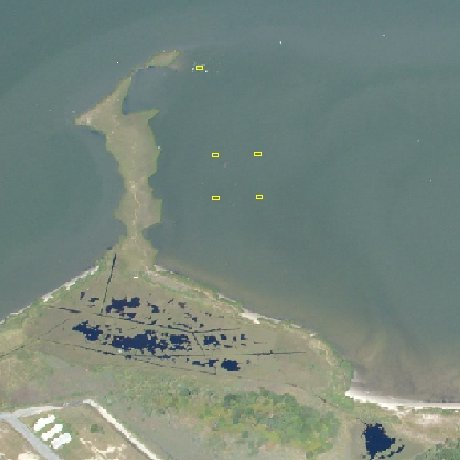 image1 image1