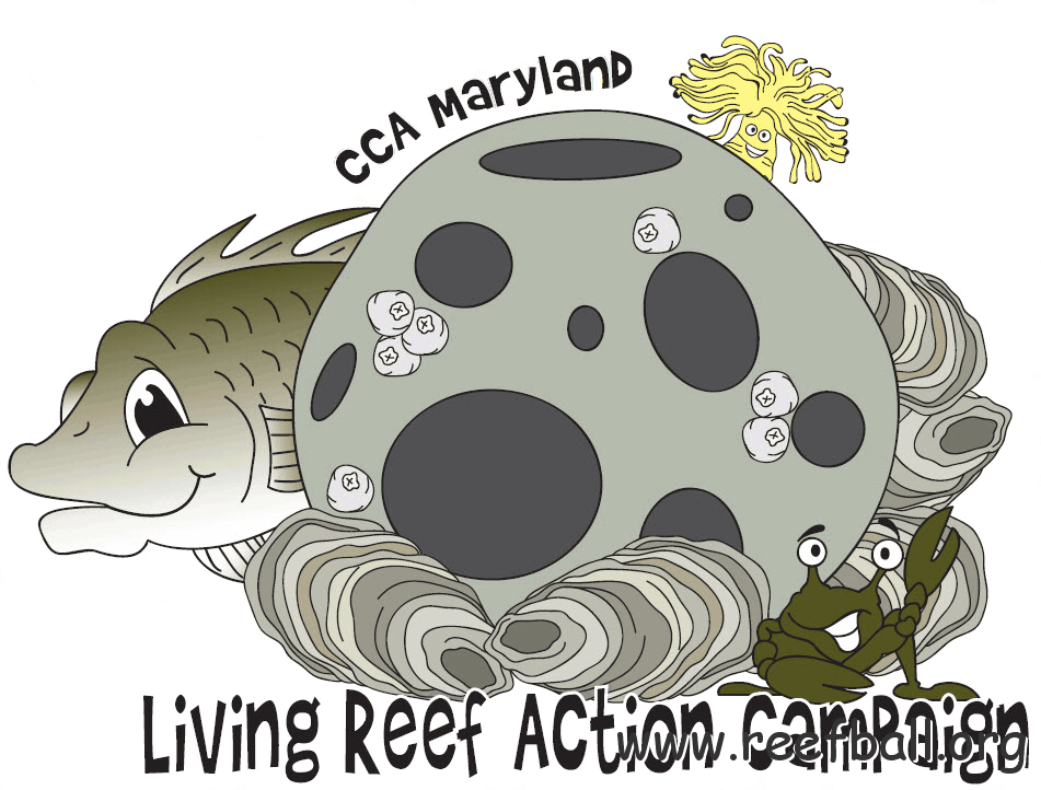 LRACTSHIRTARTtransparent